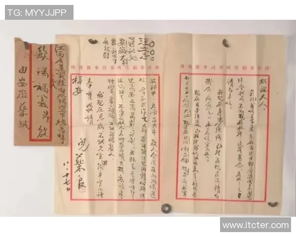 张芳的乒乓球人生:从初心到巅峰的深度对话与反思