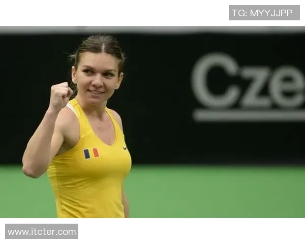 成都羽毛球队在联合会杯中的耐力表现分析与精彩瞬间回顾