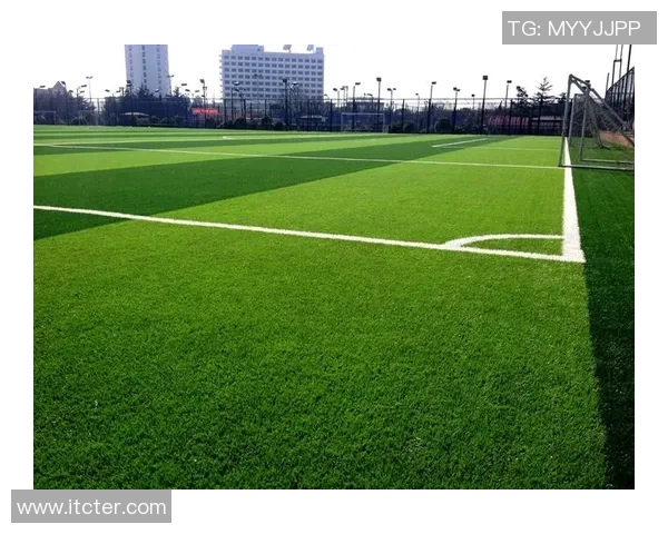 探索足球草地手工制作的艺术与技巧提升运动体验的独特魅力