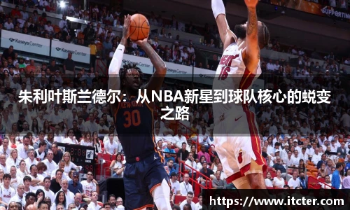 朱利叶斯兰德尔：从NBA新星到球队核心的蜕变之路